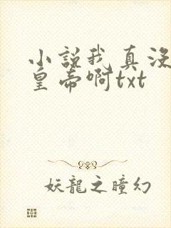 小说我真没想当皇帝啊txt