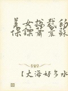 美女总裁的贴身保镖萧晨苏晴