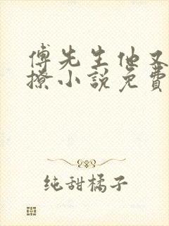 傅先生他又苏又撩小说免费阅读全文