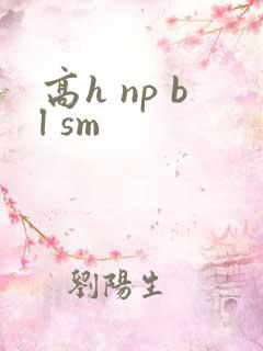 高h np bl sm