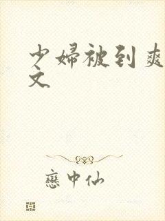 少妇被到爽流爽文