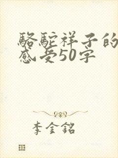 骆驼祥子的读后感受50字