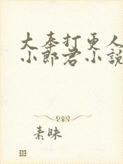 大奉打更人卖报小郎君小说无弹窗