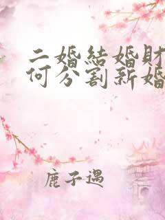 二婚结婚财产如何分割新婚姻法