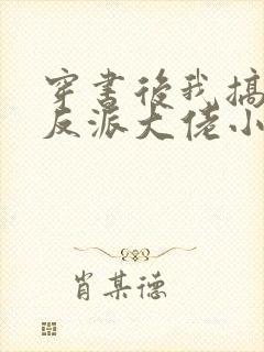 穿书后我搞到了反派大佬小说