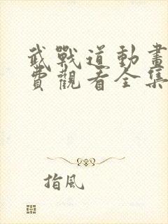 武战道动画片免费观看全集