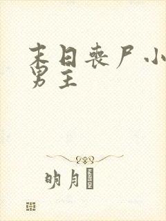 末日丧尸小说双男主