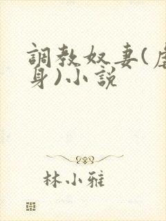 调教奴妻(虐女身)小说