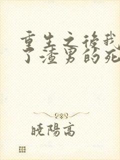 重生之后我嫁给了渣男的死对头短剧