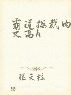 霸道总裁肉多荤文高h