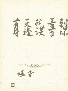 有天我看到我的身边没有你是什么歌