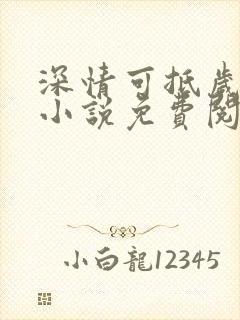 深情可抵岁月长小说免费阅读