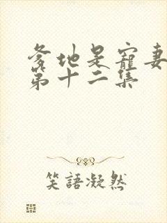 爹地是宠妻狂魔第十二集