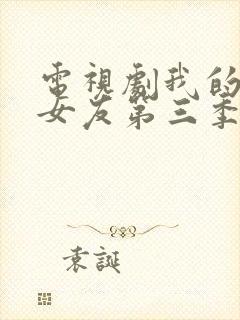 电视剧我的天才女友第三季