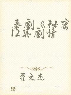 泰剧《秘密爱》12集剧情