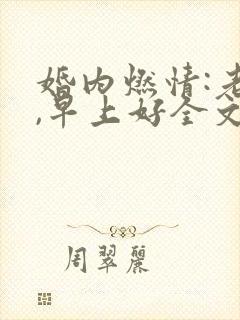 婚内燃情:老公,早上好全文免费阅读