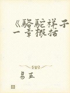 《骆驼祥子》每一章概括