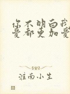 你不明白我说不爱都更加爱是什么歌