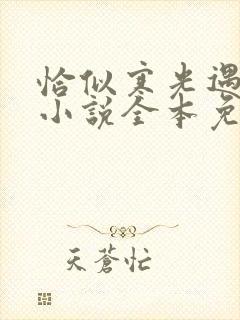 恰似寒光遇骄阳小说全本免费阅读