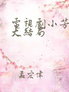 电视剧小芳剧情大结局