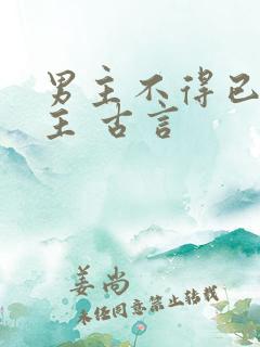 男主不得已娶女主 古言