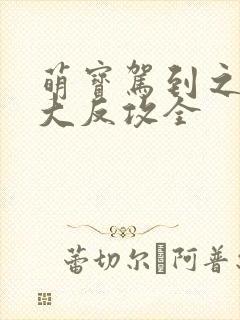 萌宝驾到之妈咪大反攻全