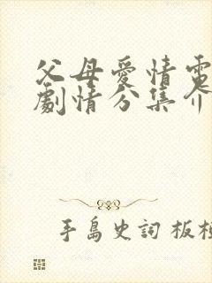 父母爱情电视剧剧情分集介绍