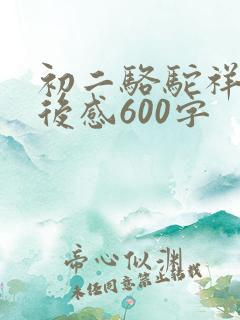 初二骆驼祥子读后感600字