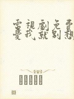 电视剧免费观看爱我就别想太多