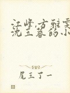 江峰,方雅雯,沈玉蓉的小说