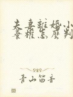 夫妻离婚小孩抚养权怎么判抚养费怎么出