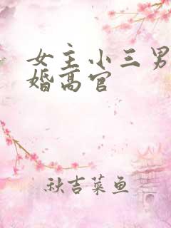 女主小三男主已婚高官