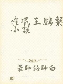 催眠王鹏系列之小说