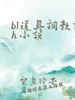 bl道具调教高h小说
