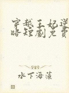 穿越王妃逆袭攻略短剧免费观看全集