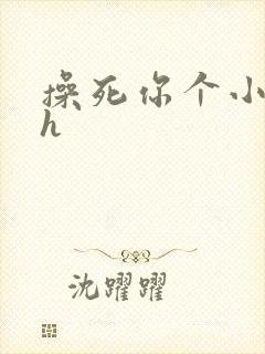 操死你个小骚货h