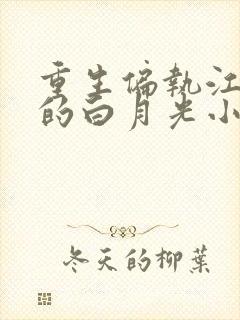 重生偏执江少爷的白月光小说免费阅读