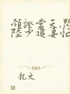 领证当天,闪婚陆少追妻忙