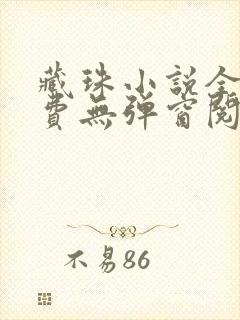 藏珠小说全文免费无弹窗阅读