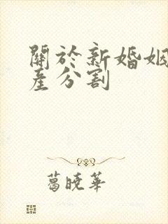 关于新婚姻法财产分割