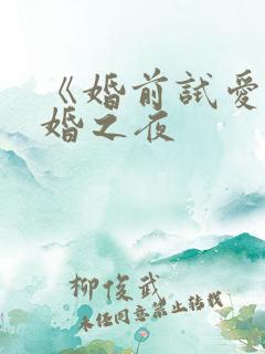 《婚前试爱》新婚之夜