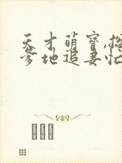 天才萌宝,总裁爹地追妻忙