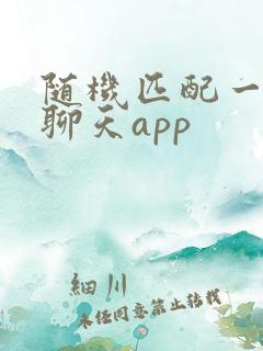 随机匹配一对一聊天app