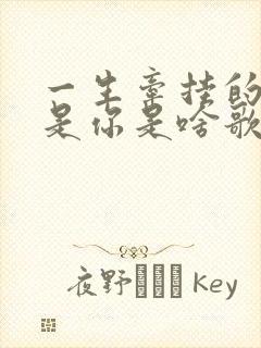 一生牵挂的人就是你是啥歌