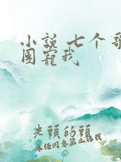 小说 七个哥哥团宠我