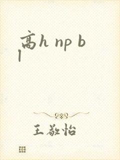 高h np bl