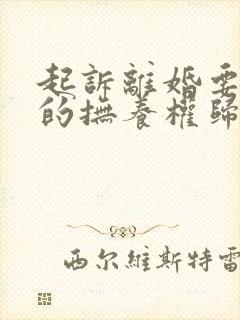 起诉离婚要孩子的抚养权归谁