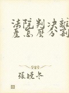 法院判决离婚财产怎么分割