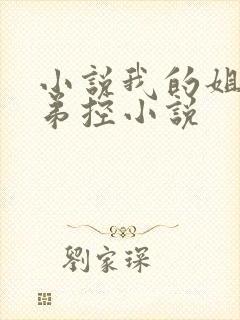 小说我的姐姐很弟控小说