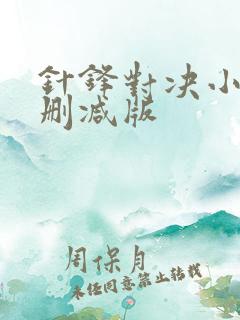 针锋对决小说未删减版